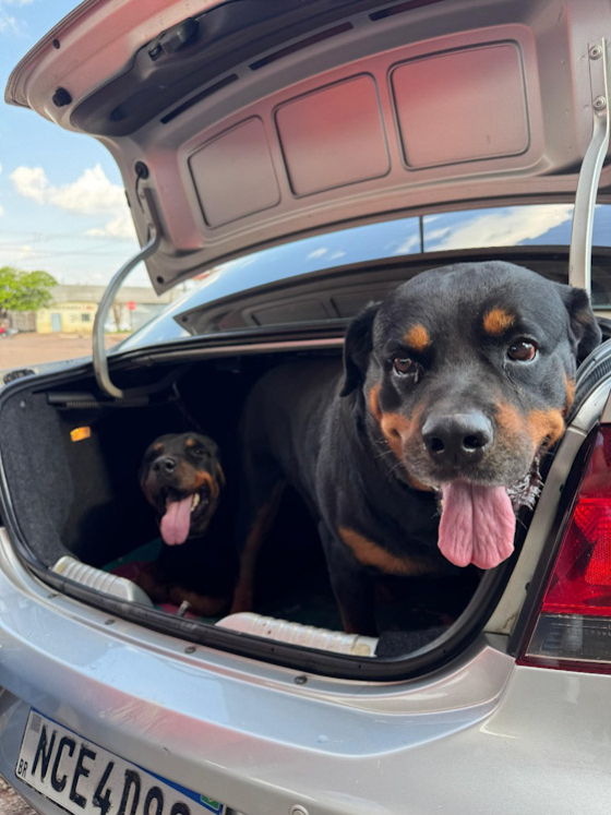 foto Not&iacute;cia ROLIM DE MOURA