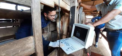 foto Not&iacute;cia ROLIM DE MOURA