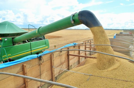 foto Not&iacute;cia ROLIM DE MOURA