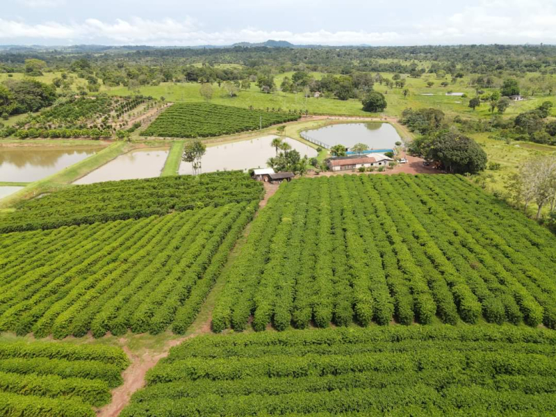 foto Notícia ROLIM DE MOURA