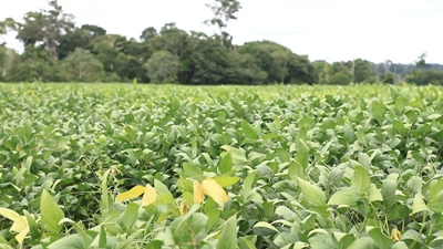 foto Not&iacute;cia ROLIM DE MOURA