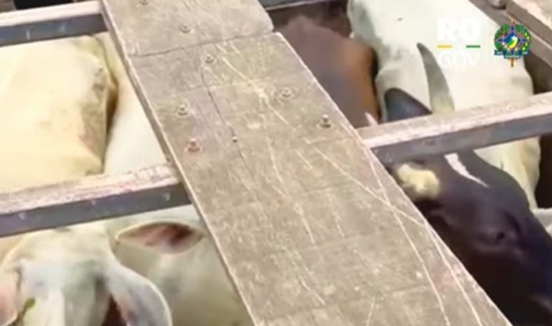 foto Not&iacute;cia ROLIM DE MOURA