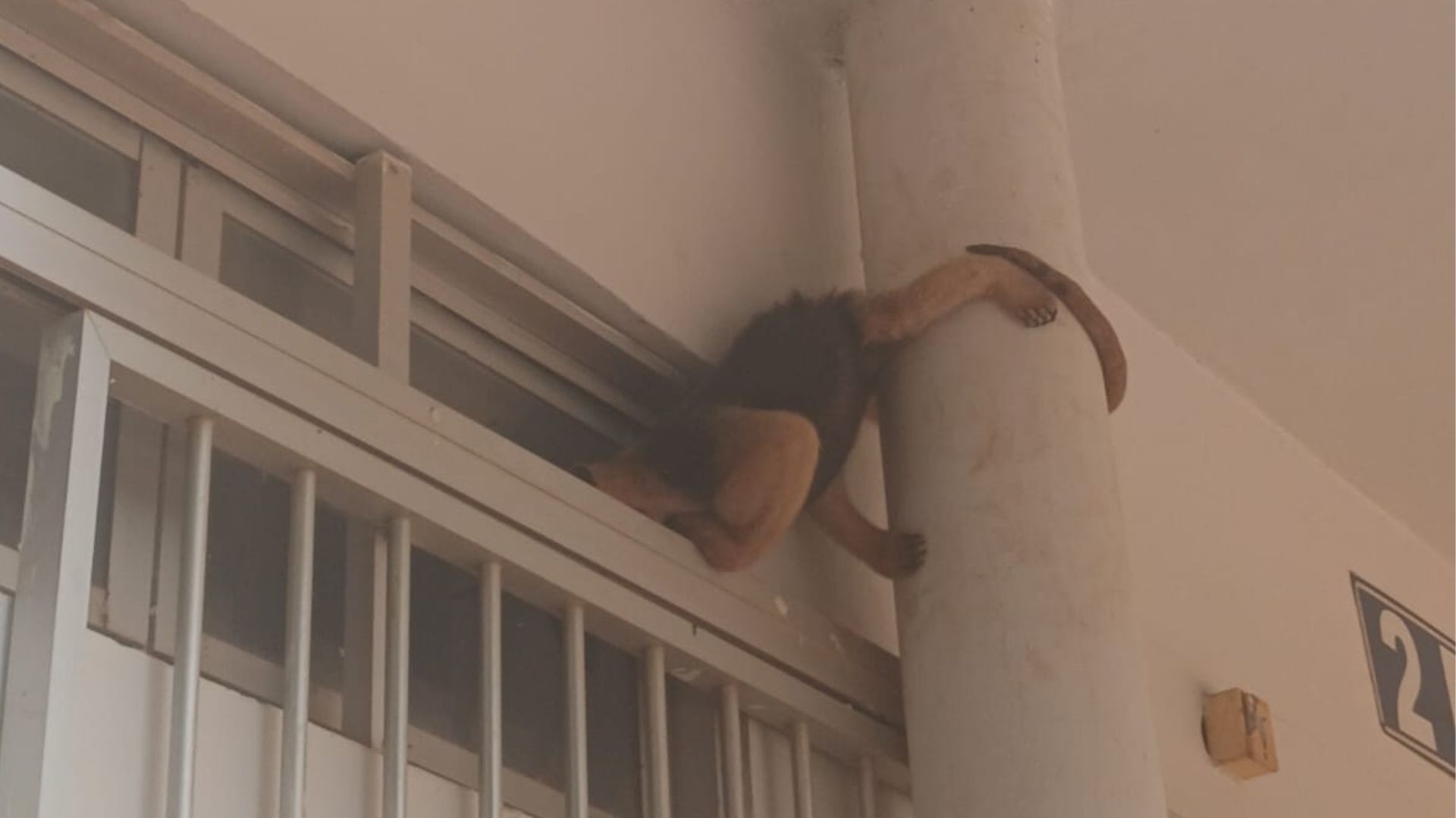 foto Not&iacute;cia ROLIM DE MOURA