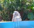 Pesca Rolim 07